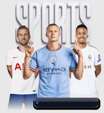 www.center-qysport.com.cn的故事